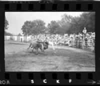 Terry Davis on unknown Bull