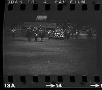 Donnie Bowles Steer wrestling, 4.9 Sec