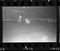 Don Douglas Steer wrestling