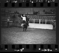 Perry Hatfield on Bull #60