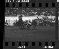 Jimmie Cooper Steer wrestling