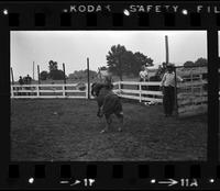 Lee Campbell Kids Bull riding