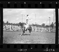 Brad & Sheila Frank Trick riding