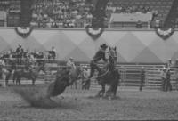 Zane Tibbets Calf roping