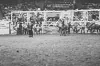 Ted Smalley Calf roping
