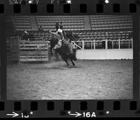 Spanky Browne on Bull #2