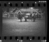 Rush Harrington Steer wrestling, 5.6 Sec