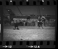 Bob Trenz Calf roping