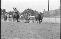 Willie Burbach Steer wrestling