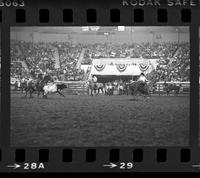 McCelland & Woodard Team roping