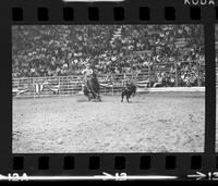 J.W. Farrington Calf roping