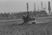 Marion Gramith Barrel racing