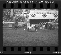 Bob Marshall Steer wrestling