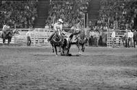 Morgan Grainger Steer wrestling