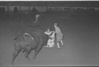 Bruce Papon, Bobby McAfee, & Bob Romer Bull fighting with Funeral Wagon
