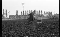 Susan Whyte Barrel racing