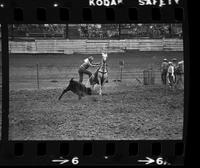 Leroy Hellman Calf roping