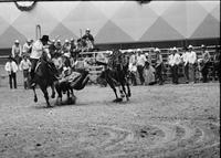 Randy McKenzie Steer wrestling