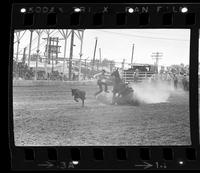 Rick Milhollin Calf roping