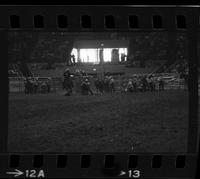 Broadus Gravette Steer wrestling