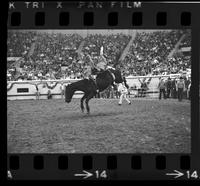 Bruce Ford on Gypsy