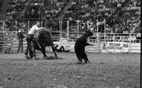 Bill Tyer Calf roping