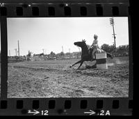 Sherry Jean McCarthy Barrel racing