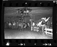 Earl Williamson on Brown Jug