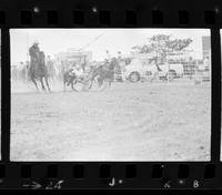 Gary Tatum Steer wrestling