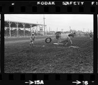 Rodeo clowns Bull fighting