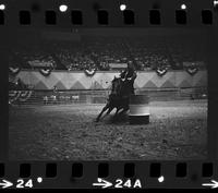 Rogina Clayman Barrel racing