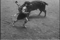 Vold & Urban, Rodeo Clowns, Bull fighting with Bull #026