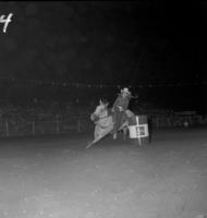 Dena Wheaton Barrel racing