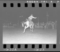 Carrel Adney on Saddle bronc #90