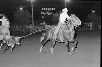 Unidentified Team ropers