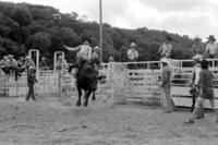 Wendall Ratchford on Bull #J18