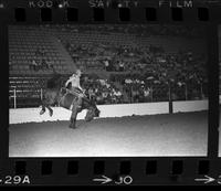 Wayne Harris on Rocky Butte
