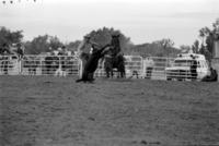 Kyle Ditto Calf roping