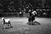 Dwayne Trasher Calf roping