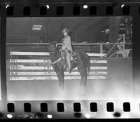 1970 Missouri Rodeo Queen, Kay White