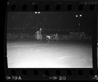 Boyd Borman Steer wrestling