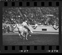 Unidentified Bronc rider on unknown mount