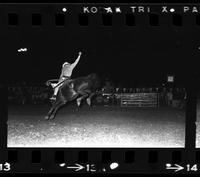Chuck Waldie on Saddle bronc #52