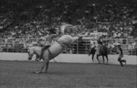 Bronc Rumford on Whirlaway