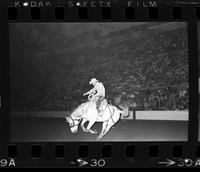 Barney Gallagher on Peace Maker