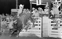 Mike Bandy on Bull #9