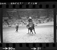 Randy Magers on Bull #7