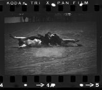 Danny Whiteley Steer wrestling