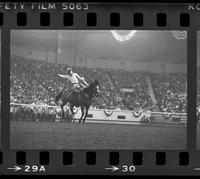 Unidentified Bronc rider on unknown mount