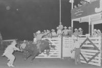 Jack Burn on Bull #1